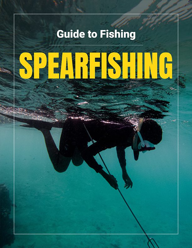 Your Free Guide To Fishing Spearfishing