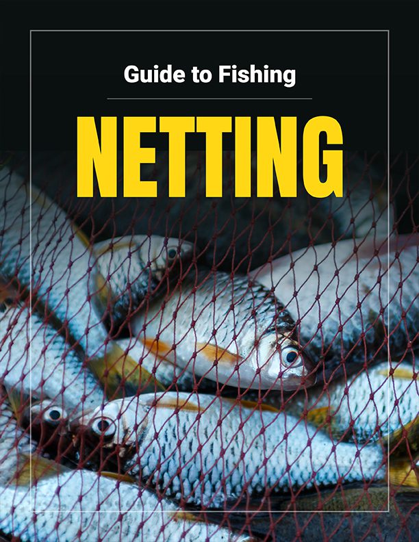 Your Free Guide To Netting